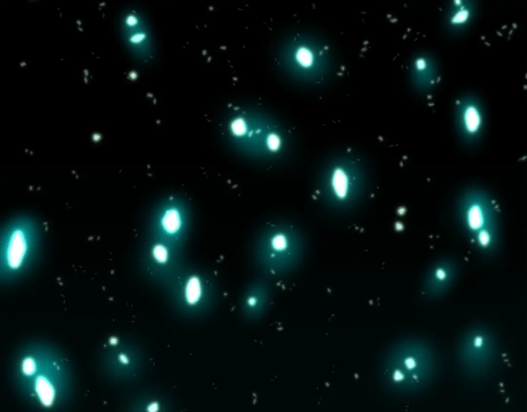 第168页