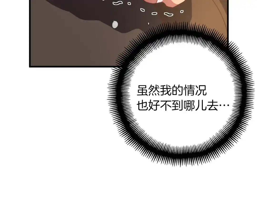 第221页