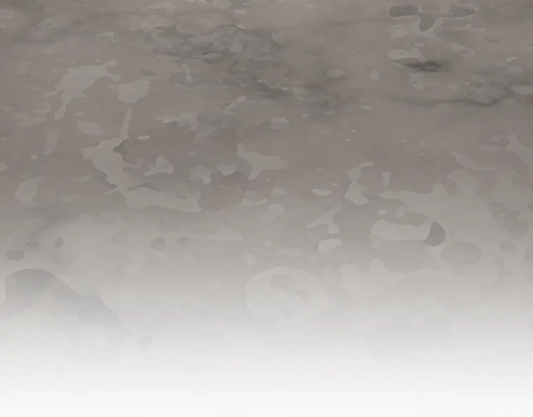 第223页