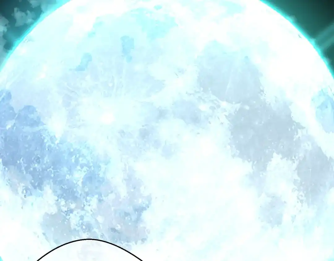 第231页
