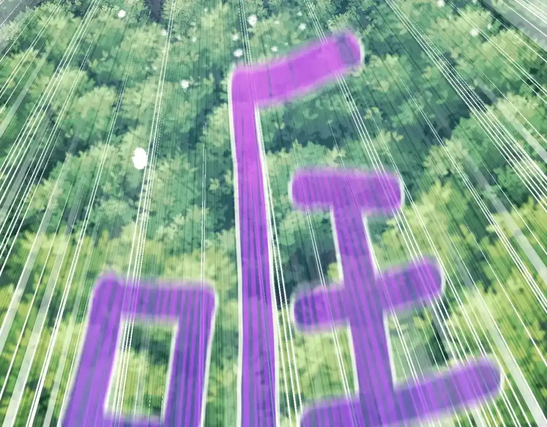 第205页