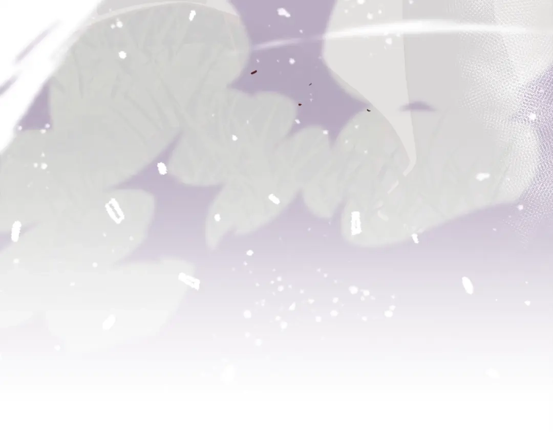 第218页