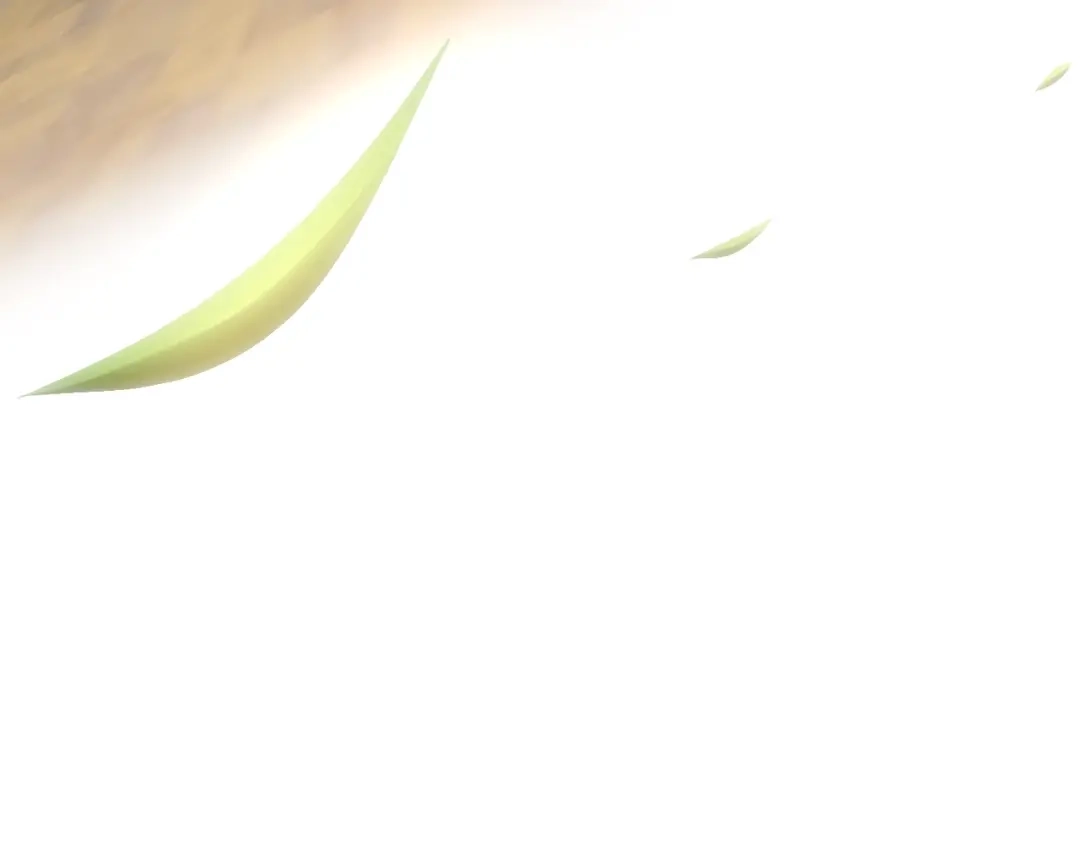 第221页