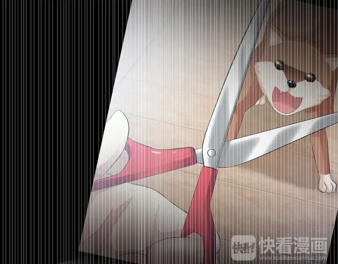 第115页