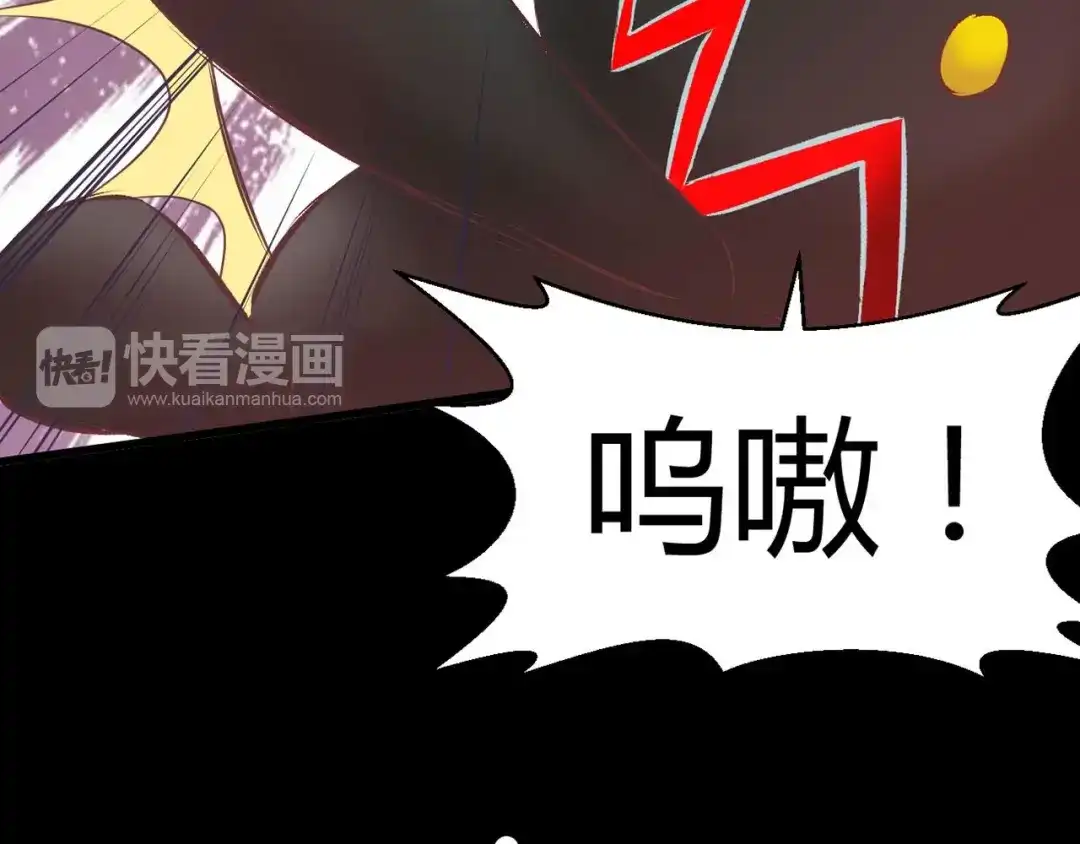 第221页