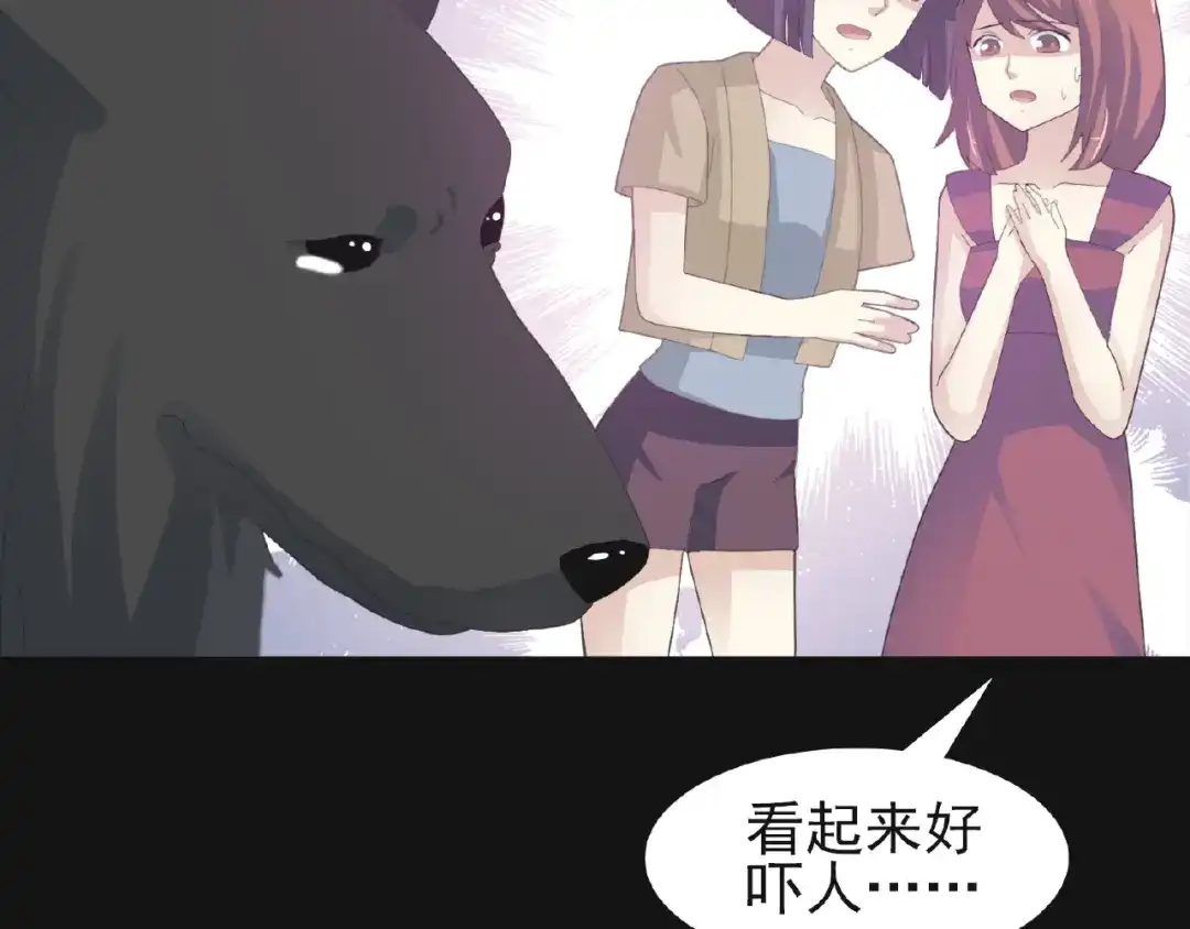 第101页