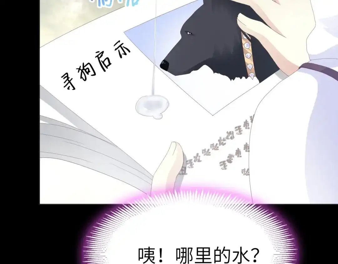 第107页