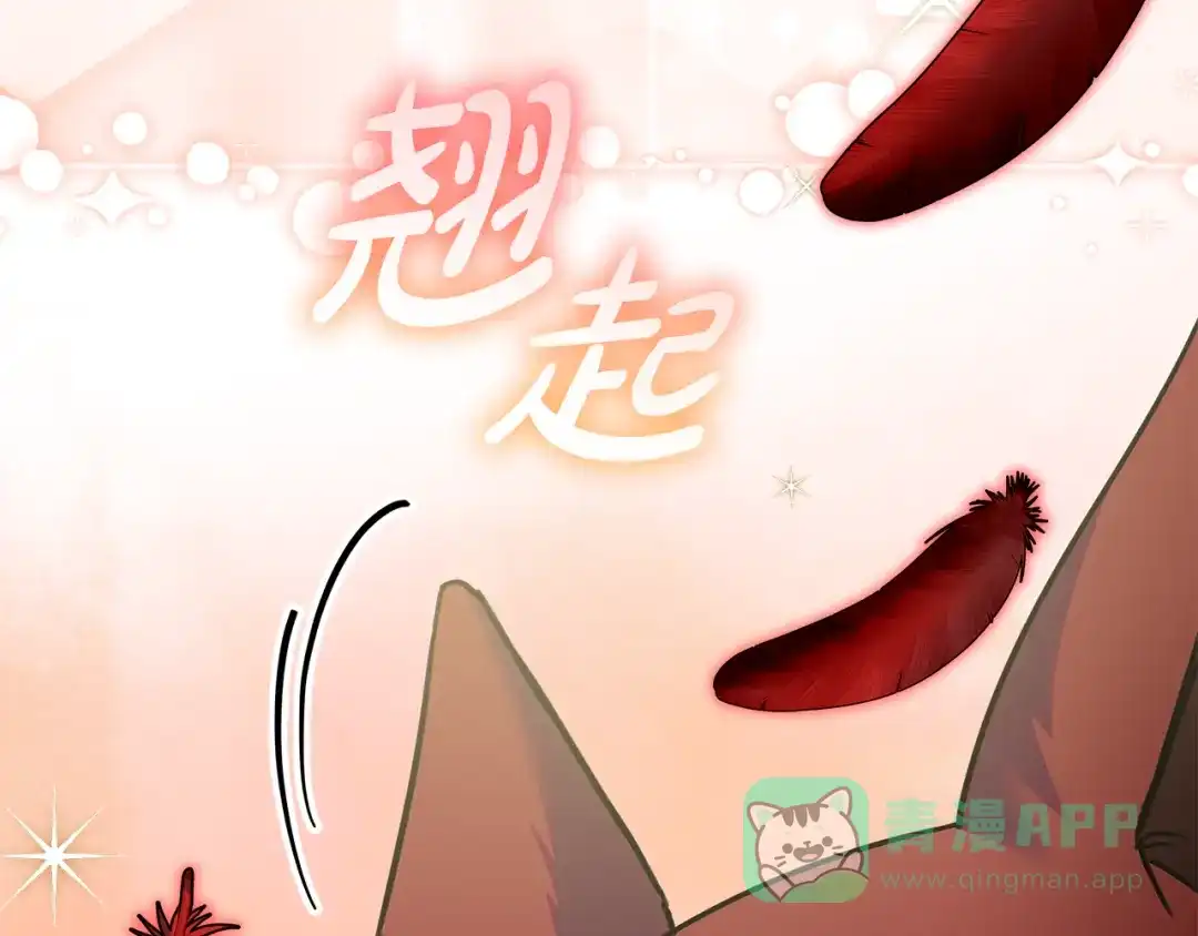 第211页