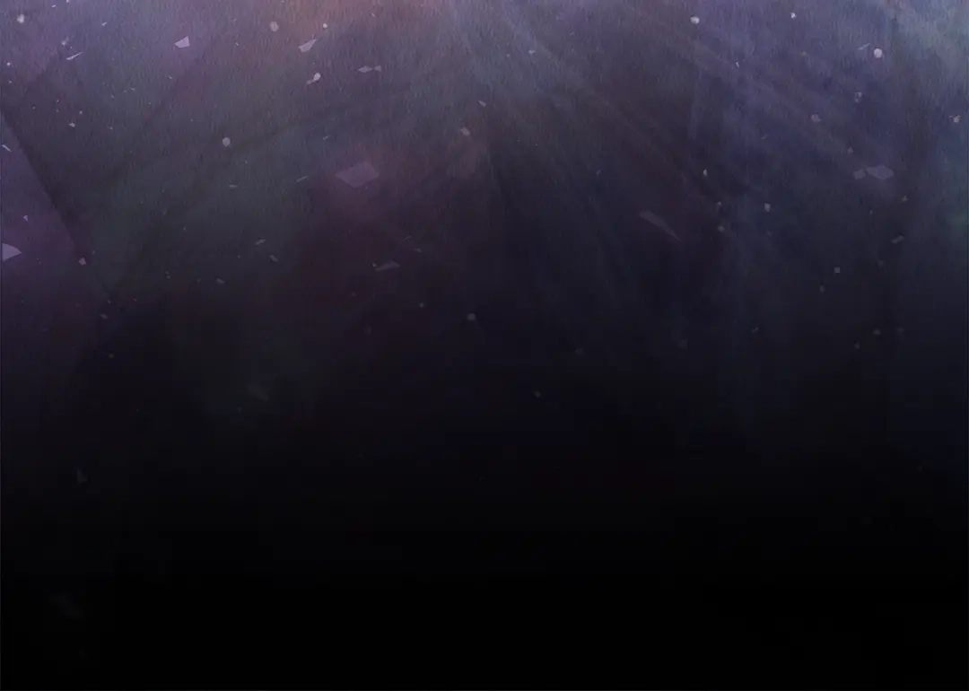 第217页