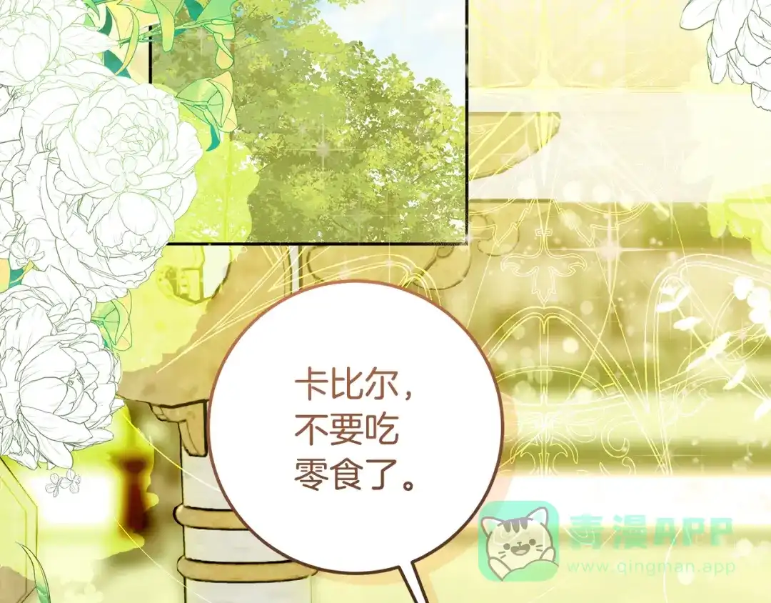 第196页