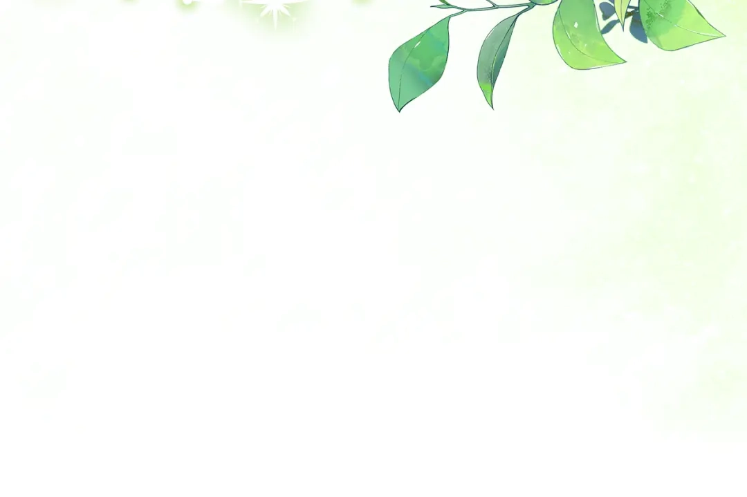 第215页