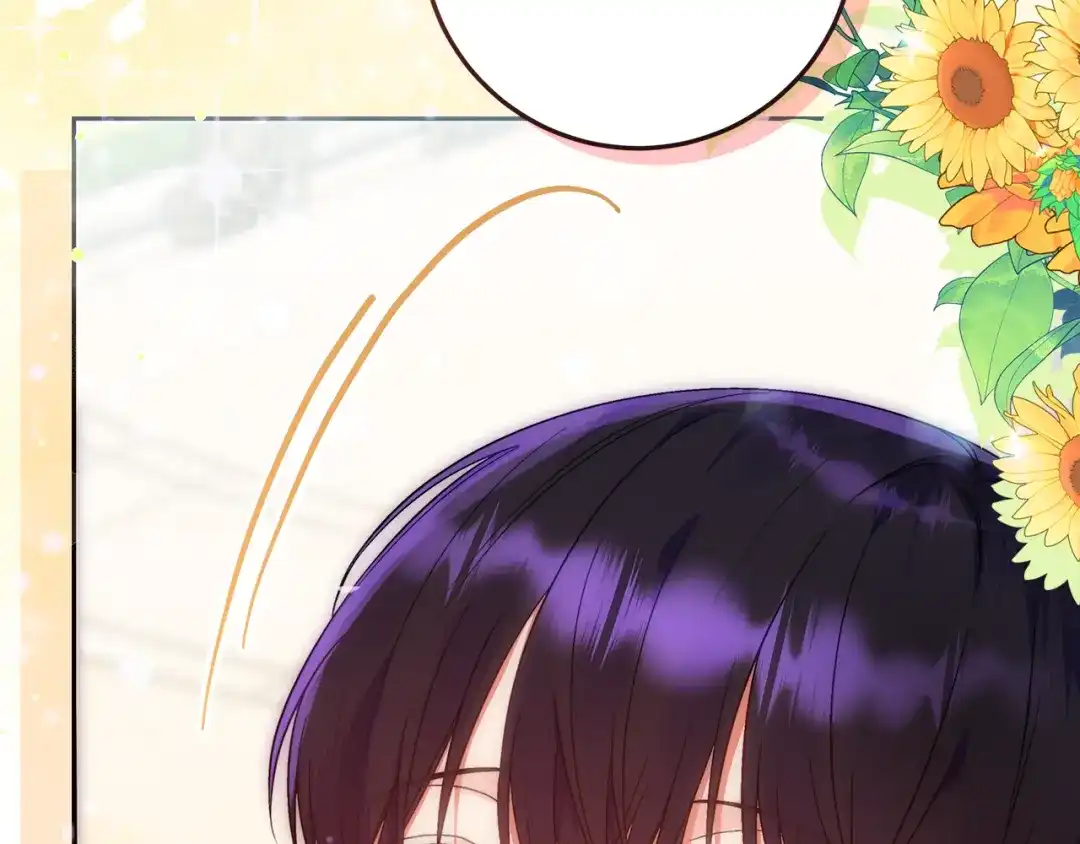 第223页