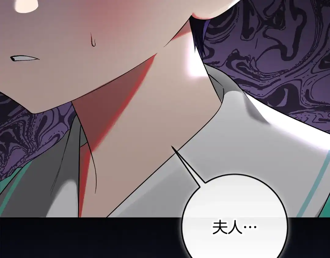 第242页
