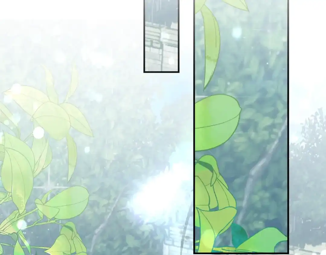 第269页