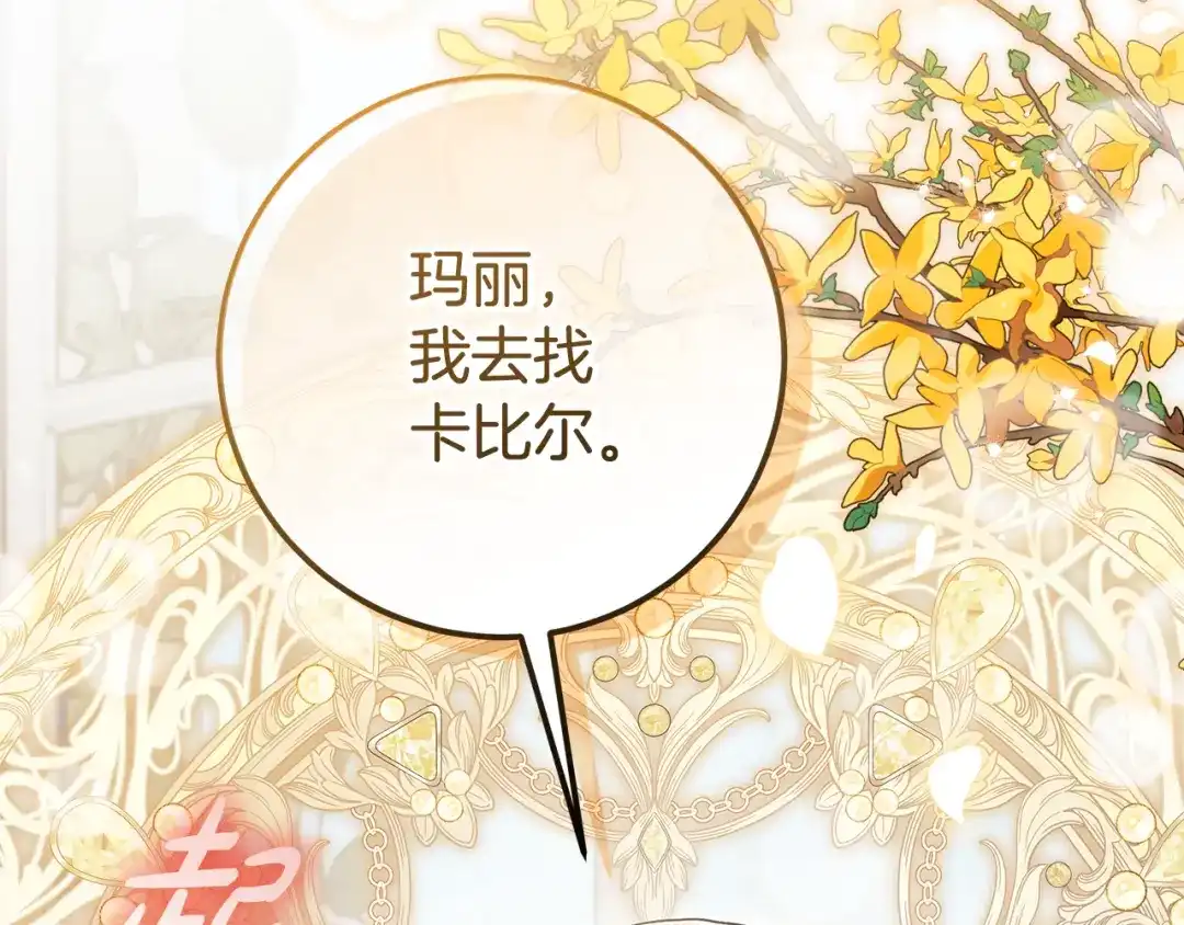 第223页