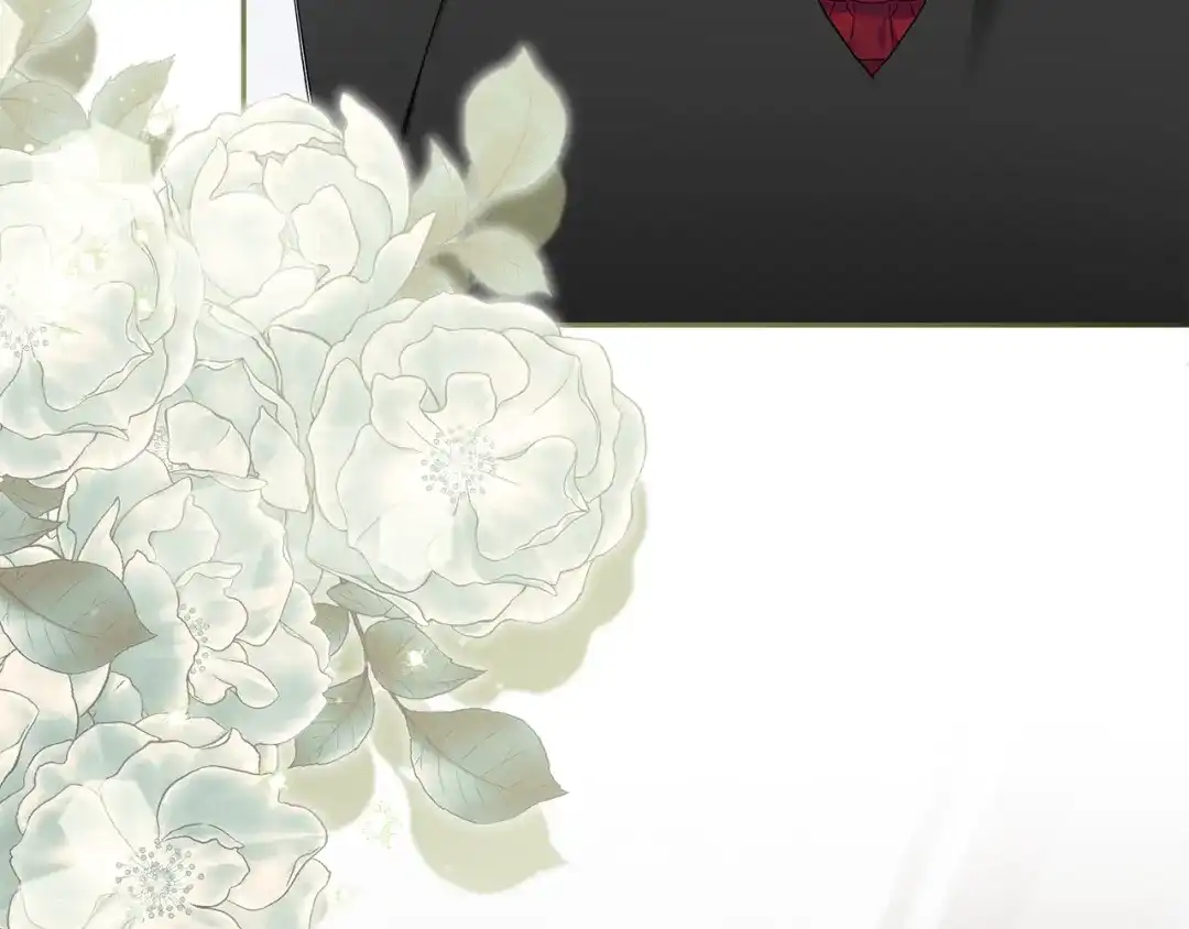 第233页