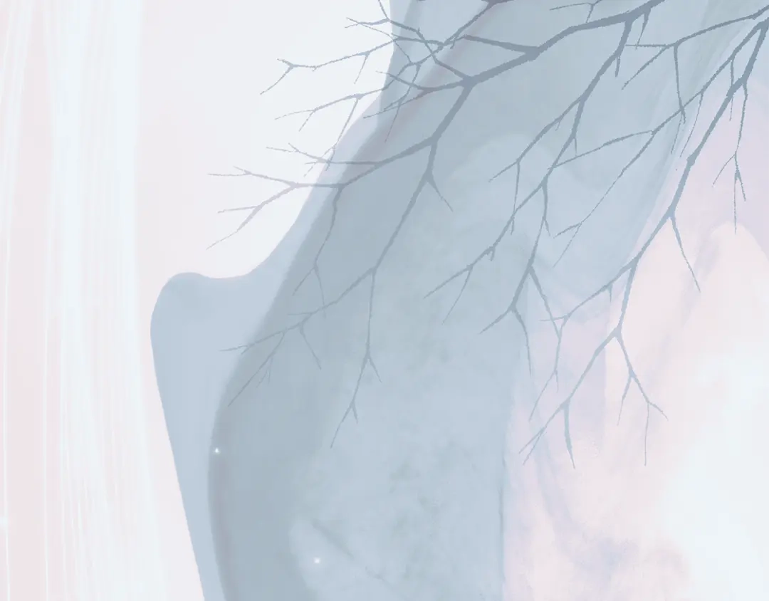 第213页