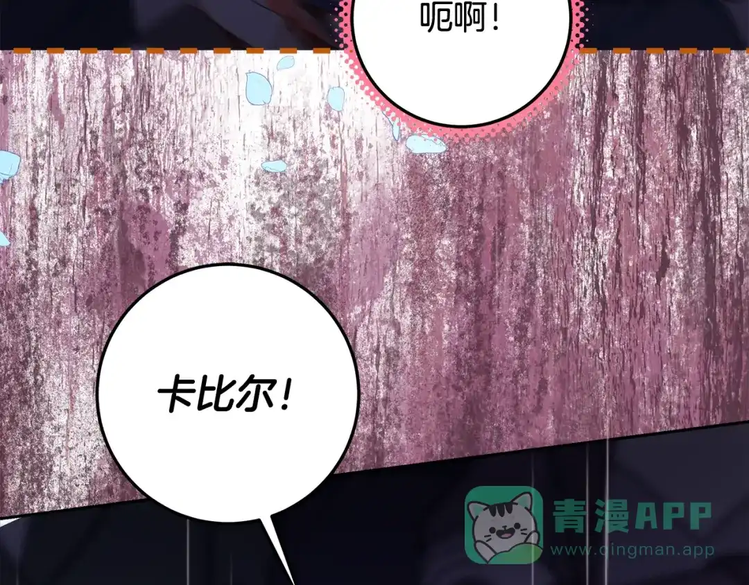 第221页