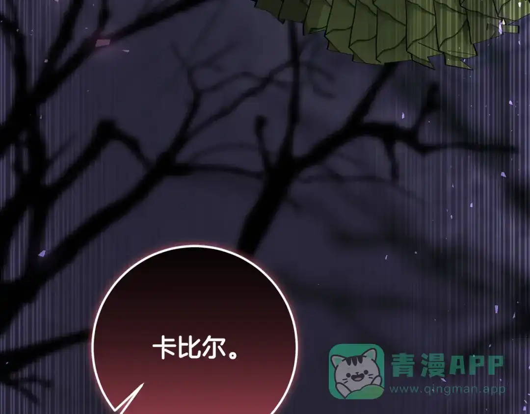 第211页