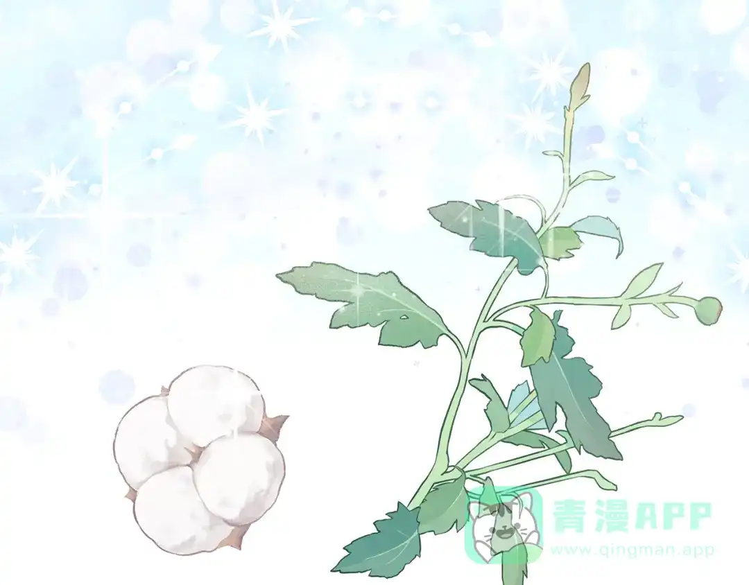 第216页