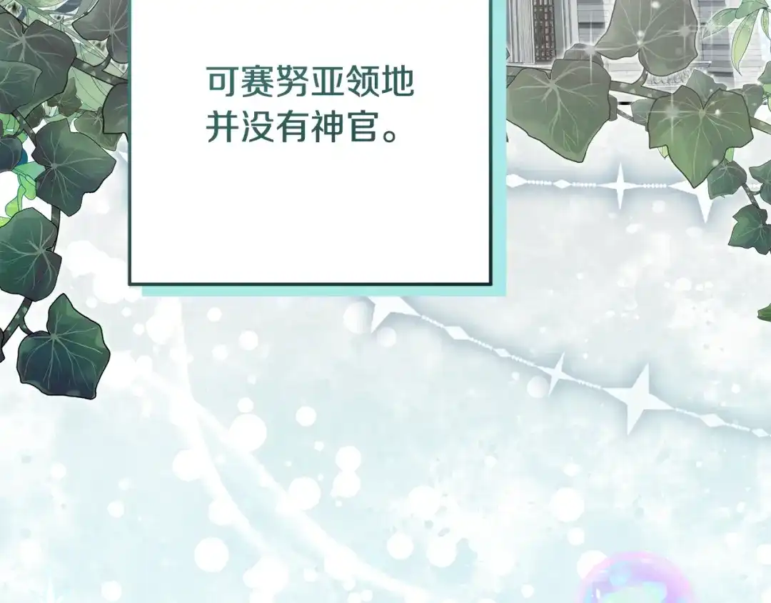 第223页