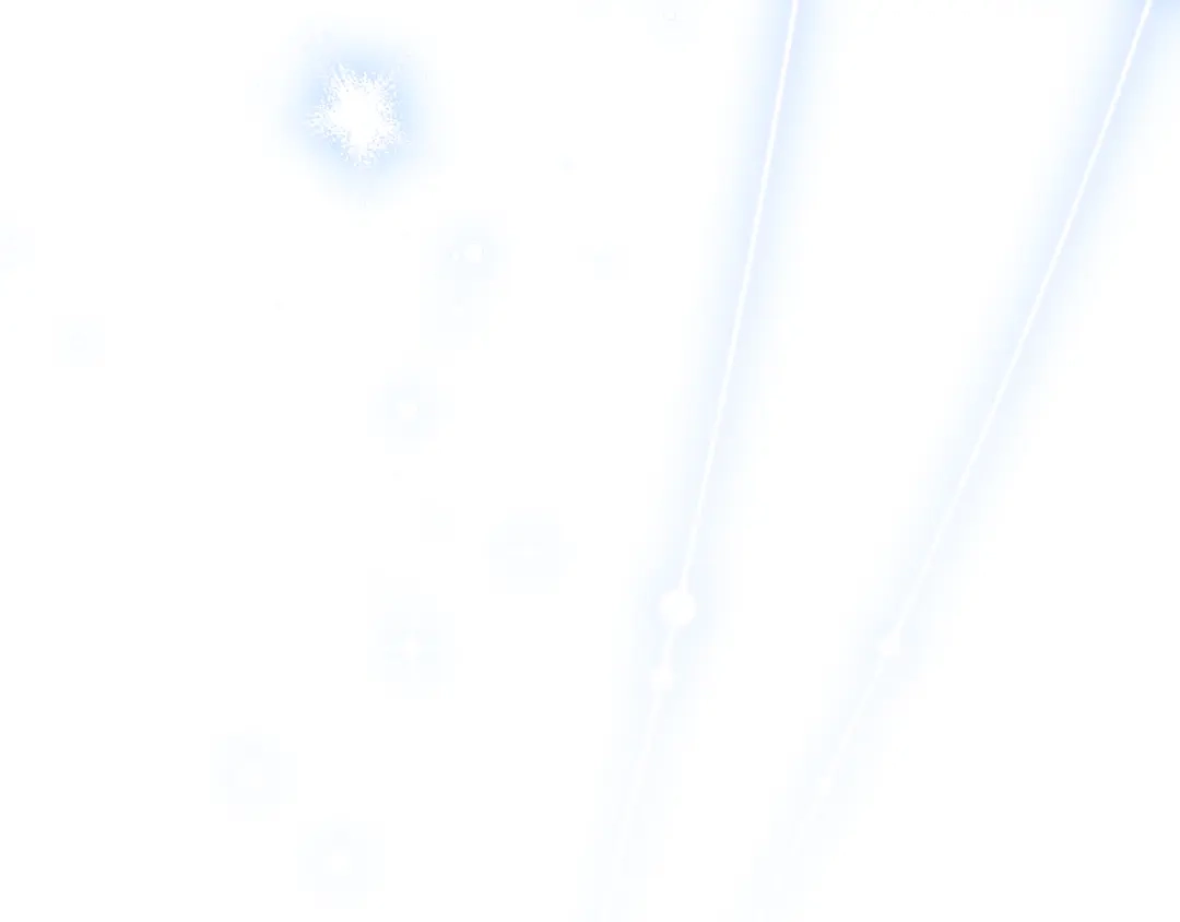 第219页