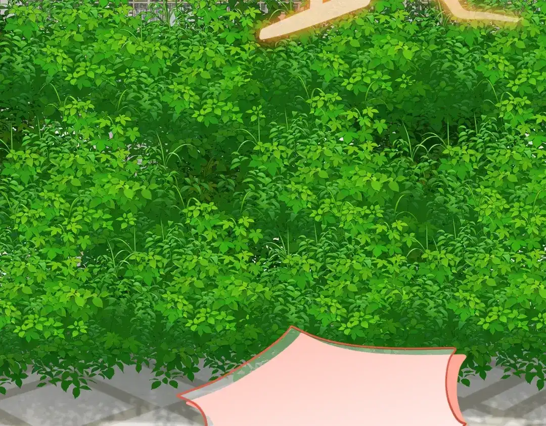第229页