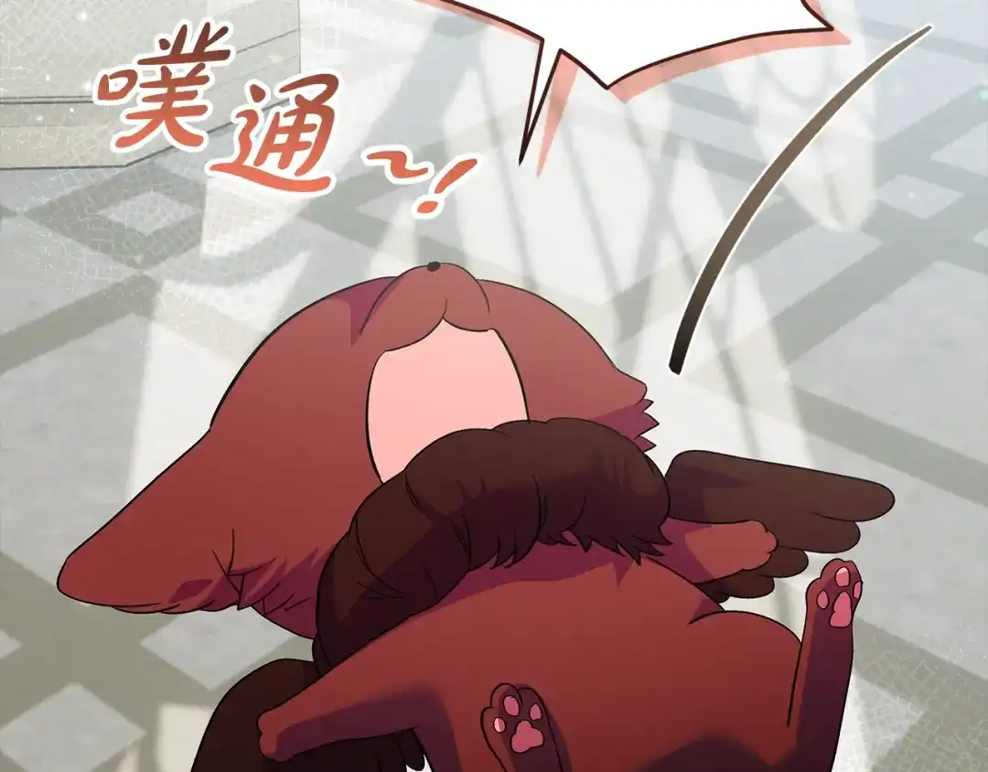第236页
