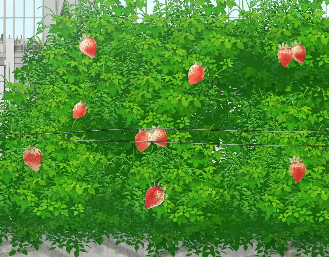 第251页