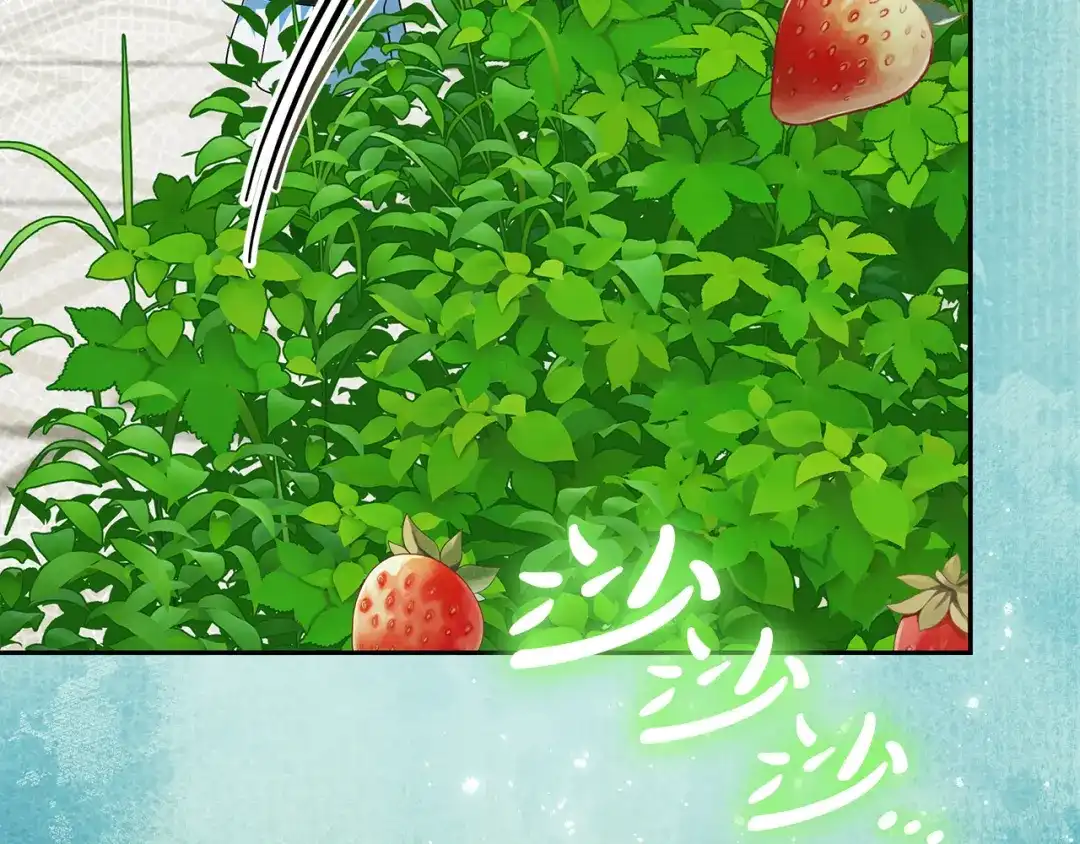 第255页