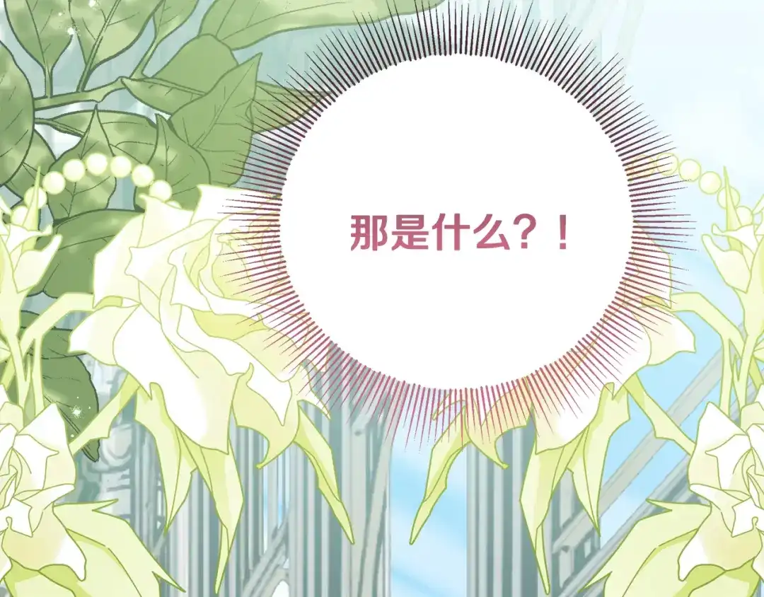 第218页