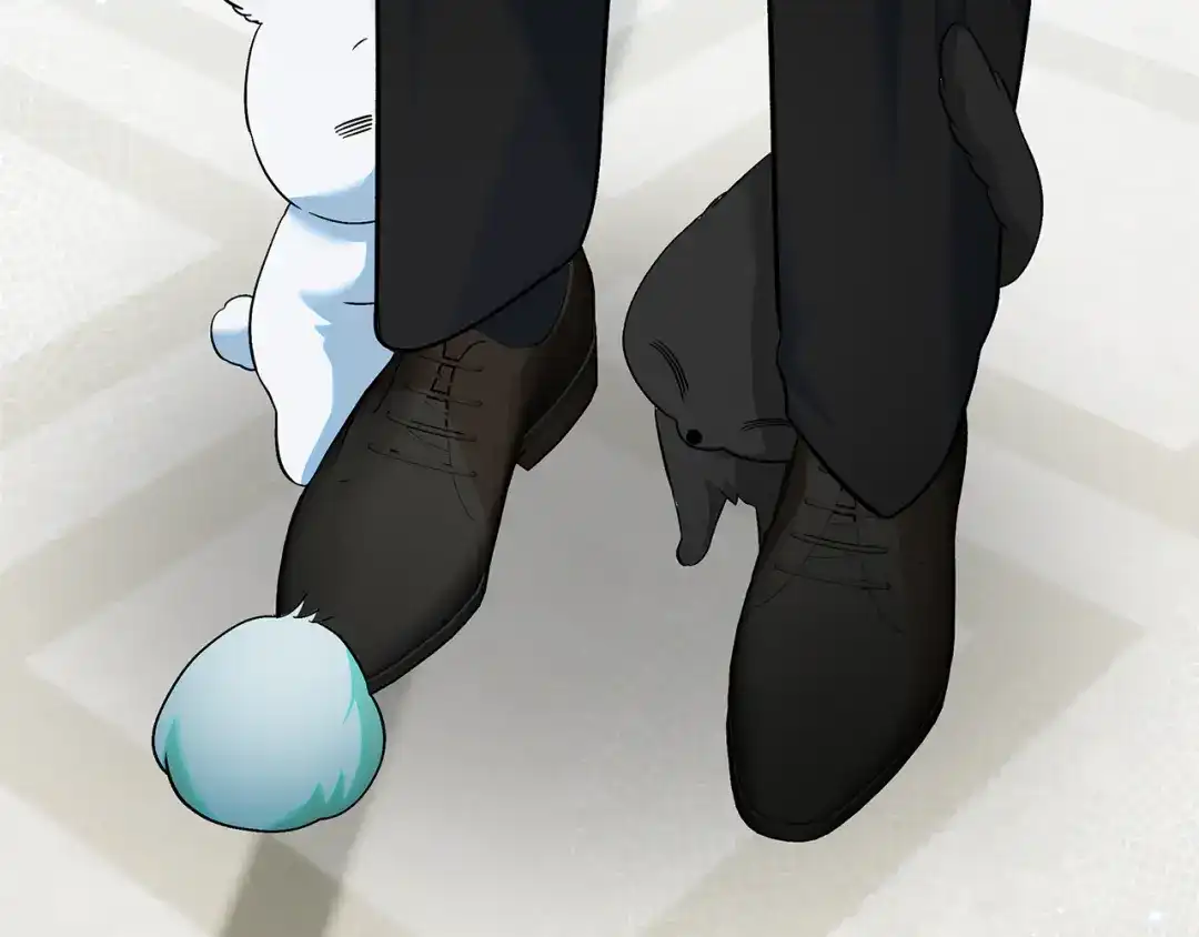 第234页