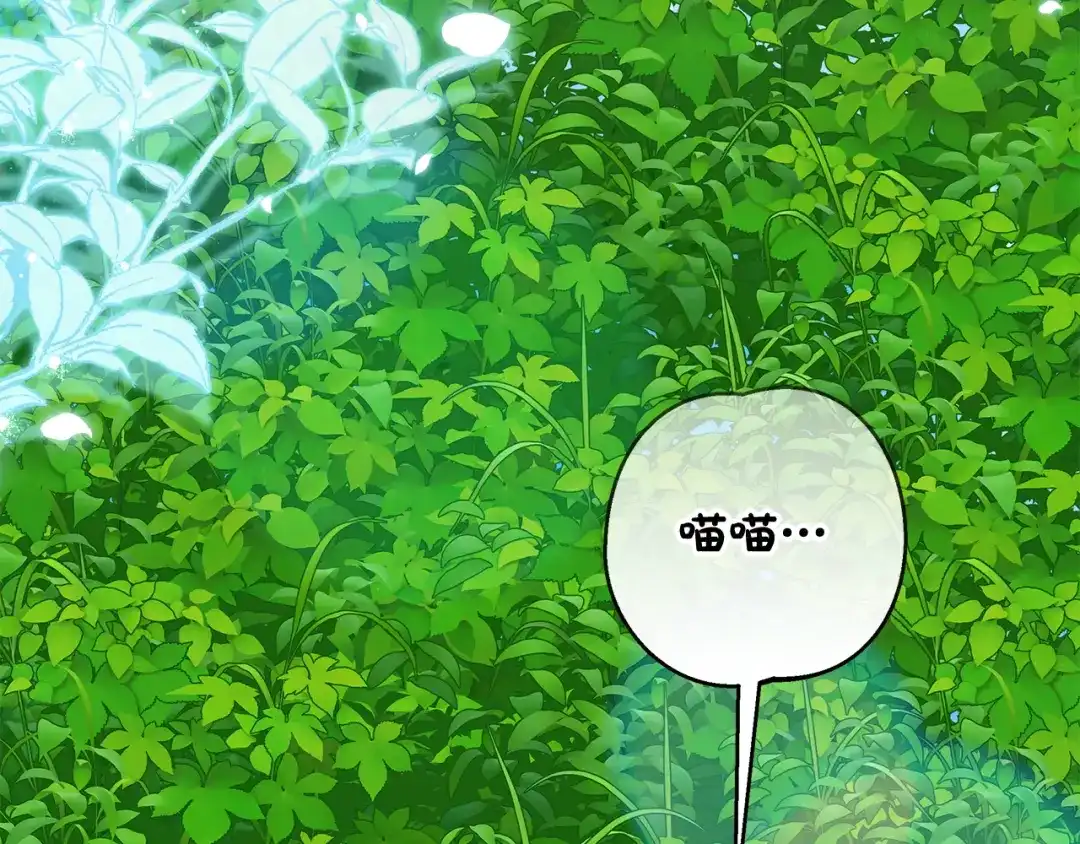 做好被离婚的准备 第56话 各方势力蠢蠢欲动 第185页