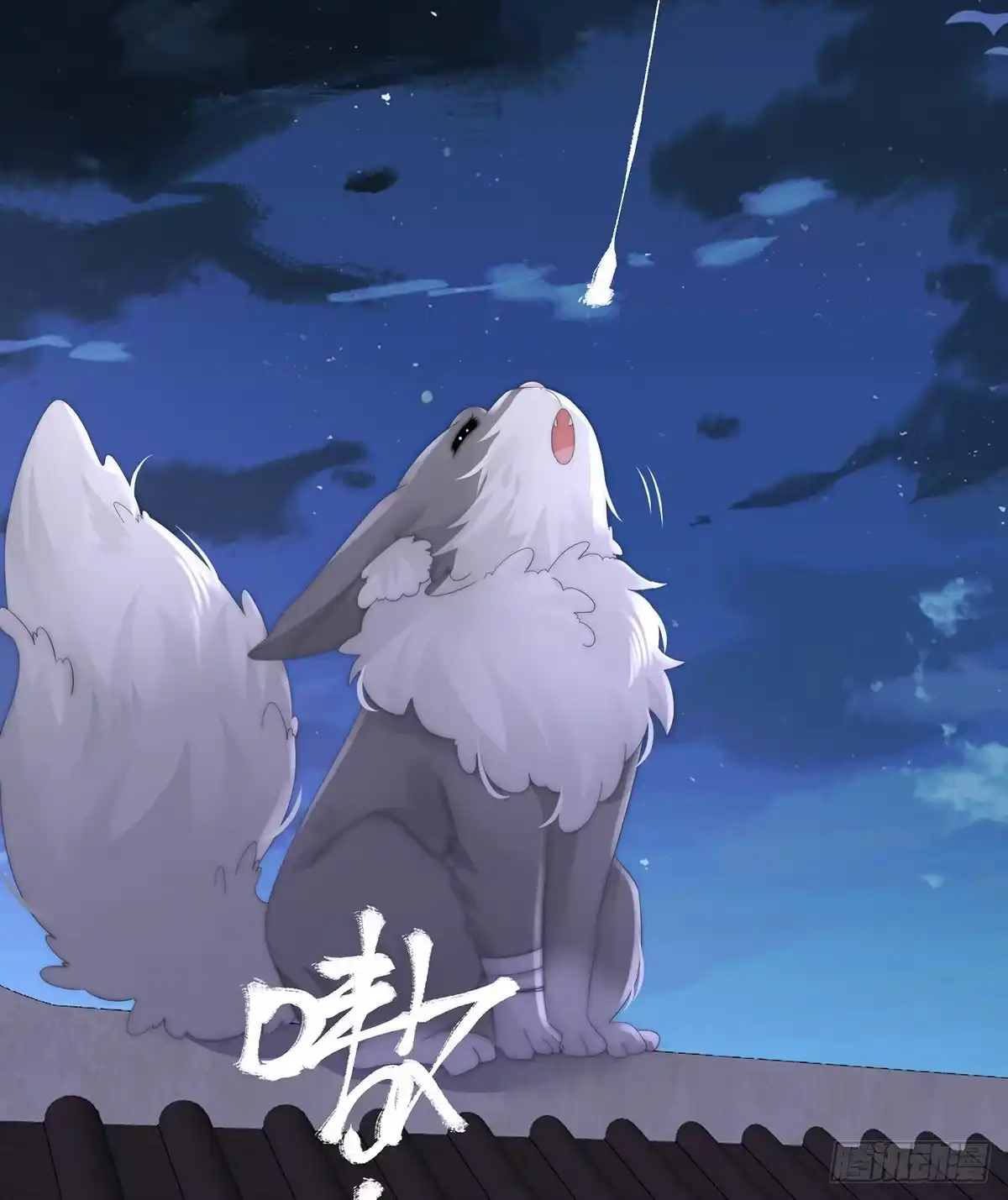第51页