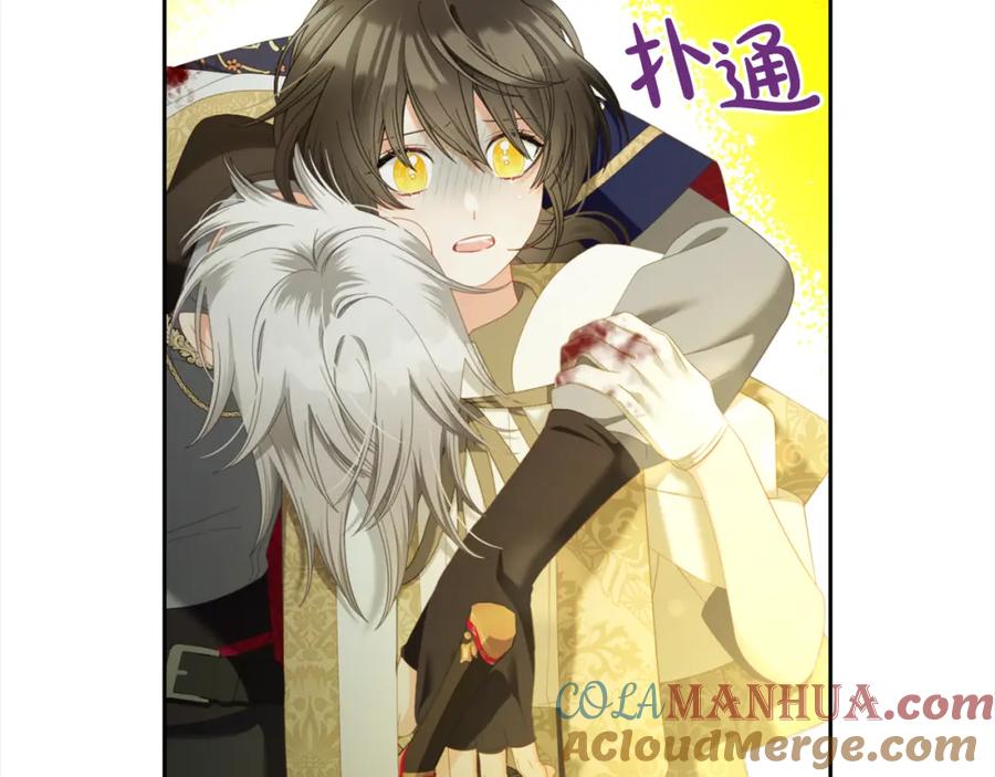 第117页