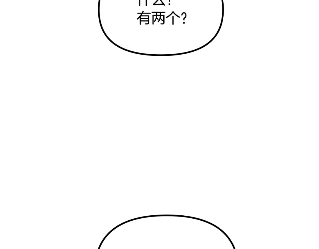 第217页