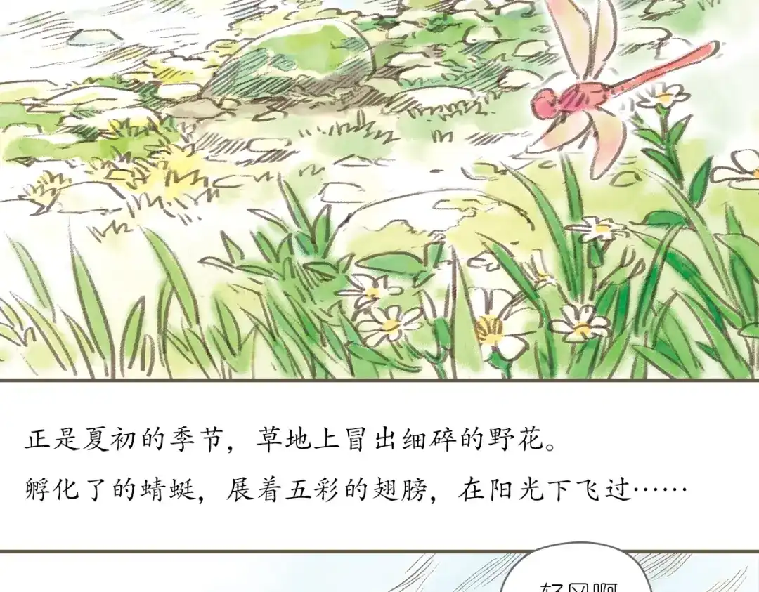第75页