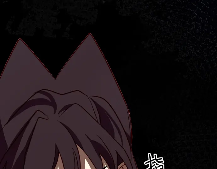 第215页