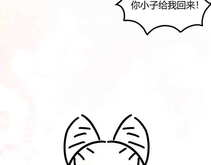 第255页
