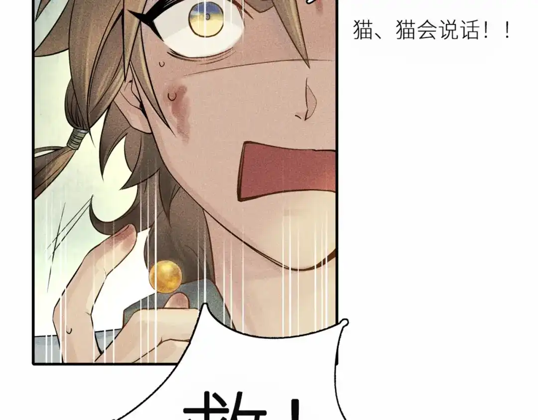 第240页