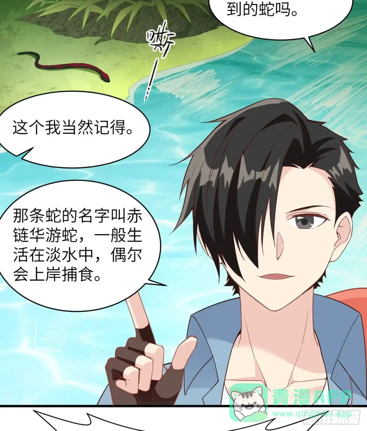 第31页