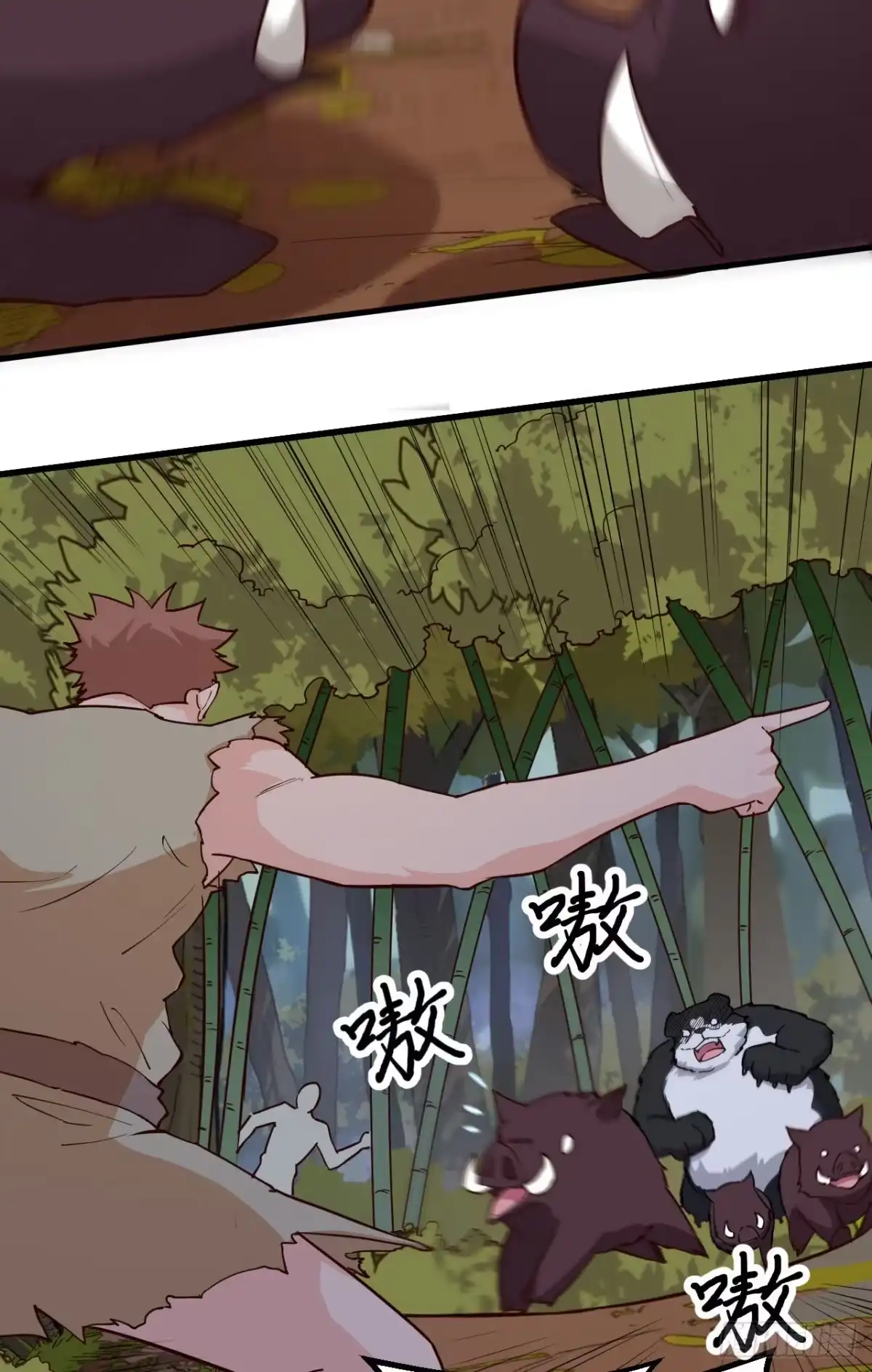 第43页
