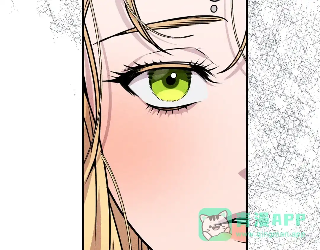 第211页