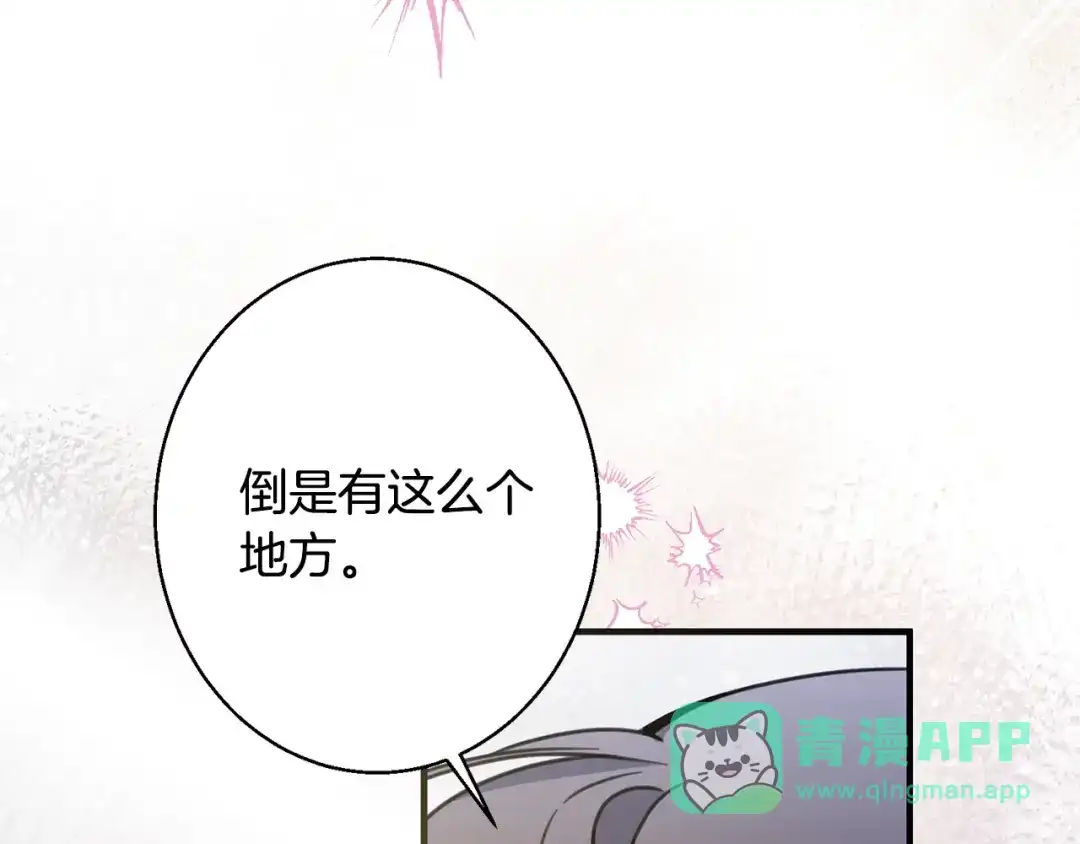 第221页