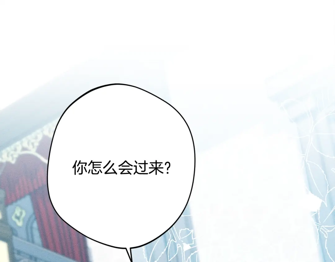 第213页