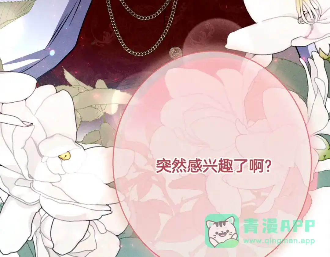 第221页