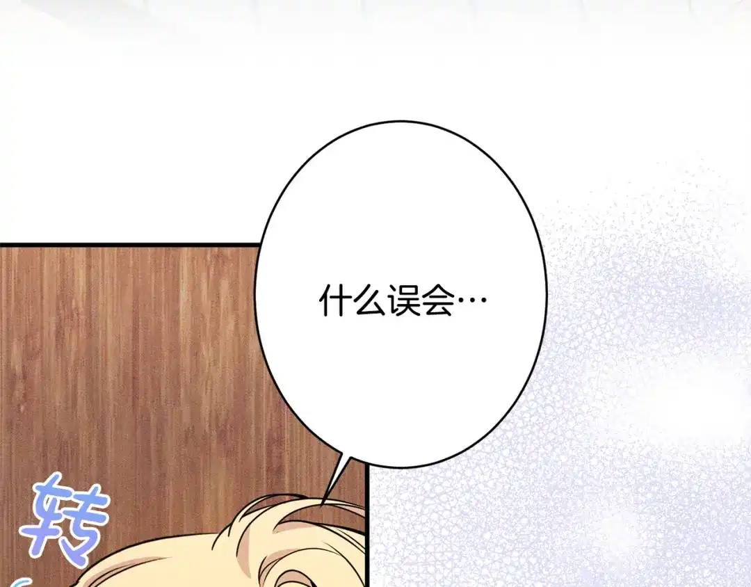 第217页