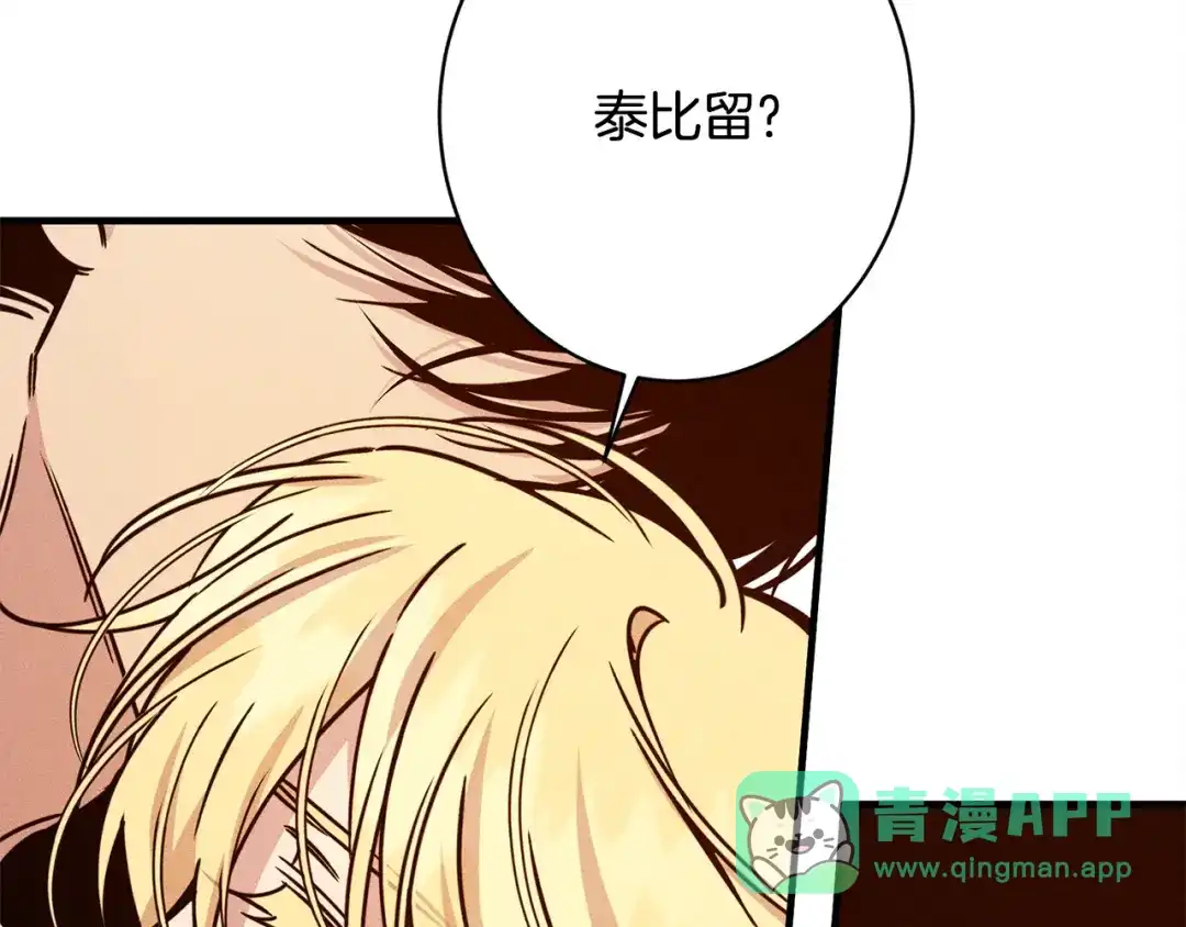 第206页
