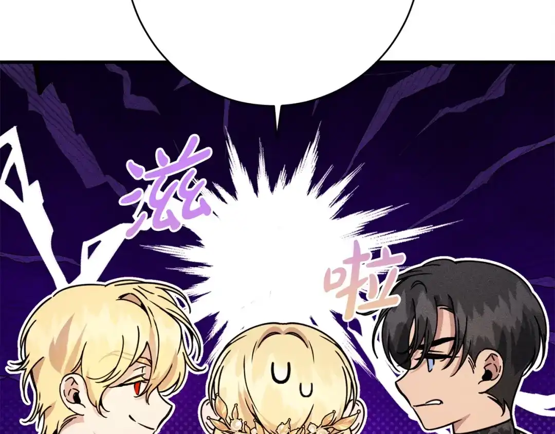 第213页