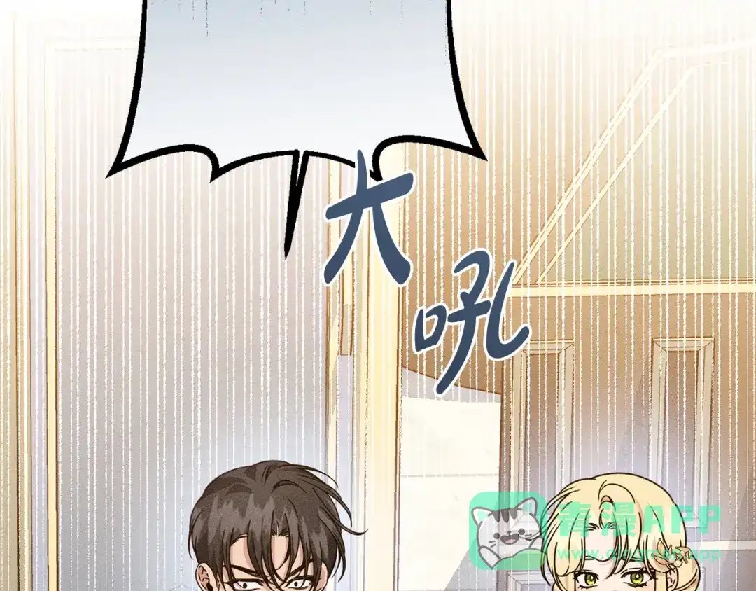 第221页
